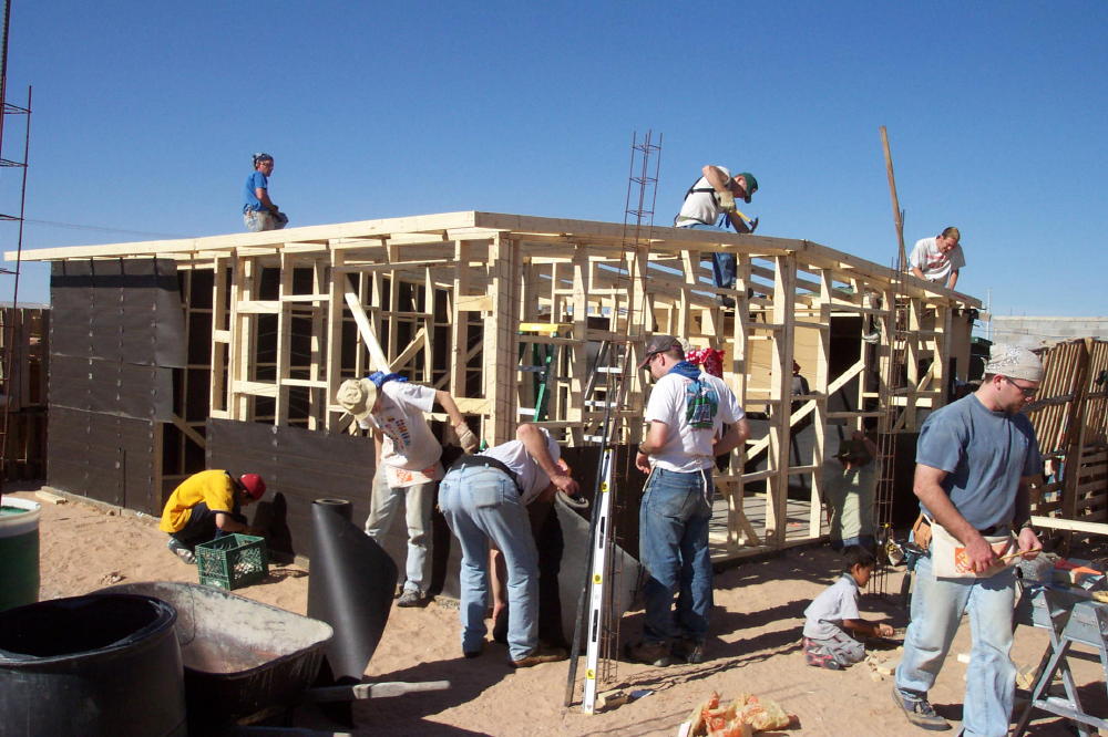 Image 20 of 165
tar paper and bird blocks