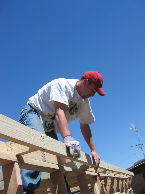 Image 71 of 168
freddie  waiting for particle board