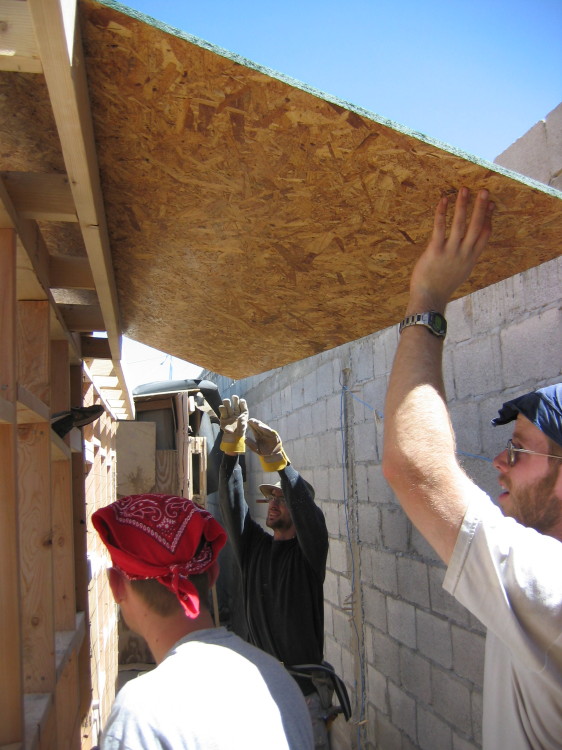 Image 72 of 168
jake and joey raising the roof